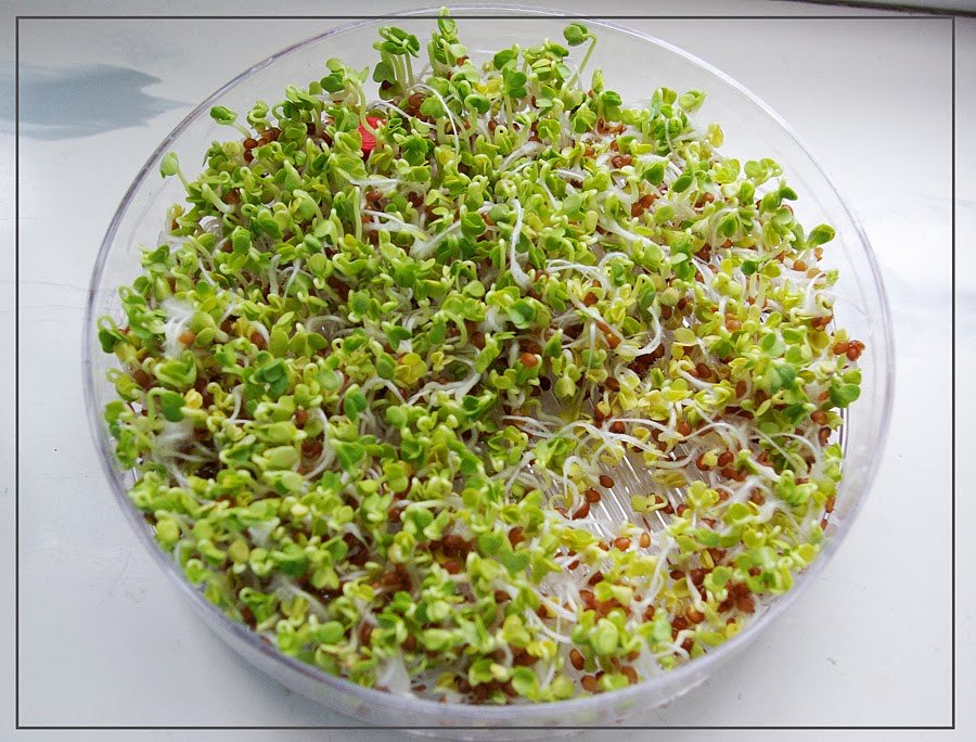 e95e537c6c4d081d5e9056