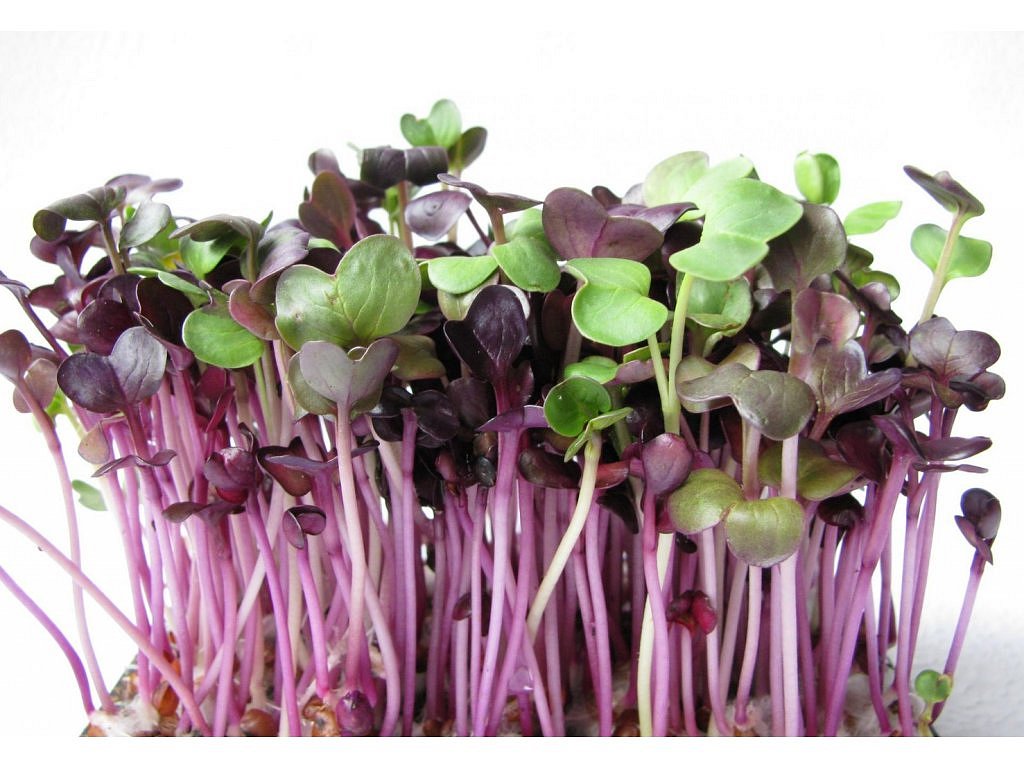 d774d27c596dfb78a8971f