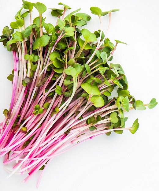 cac13814979cccecf1bb01