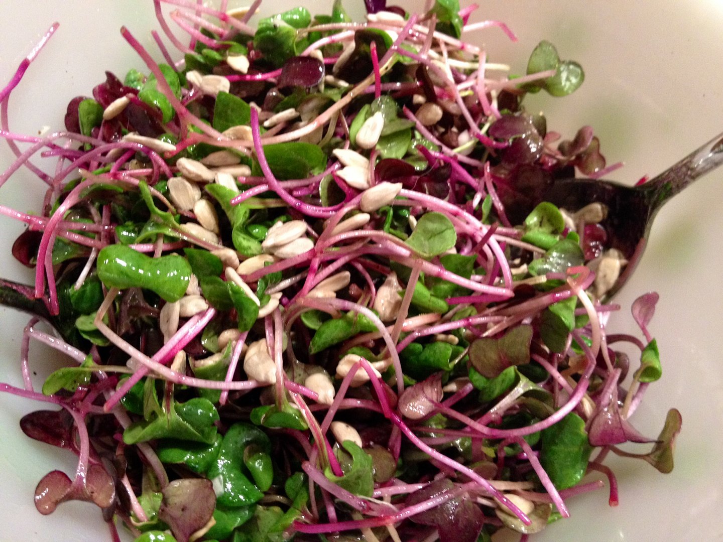 7d6d4e76aa0bfadfc5e804