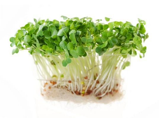 e4b098f9eb71108a6873b5